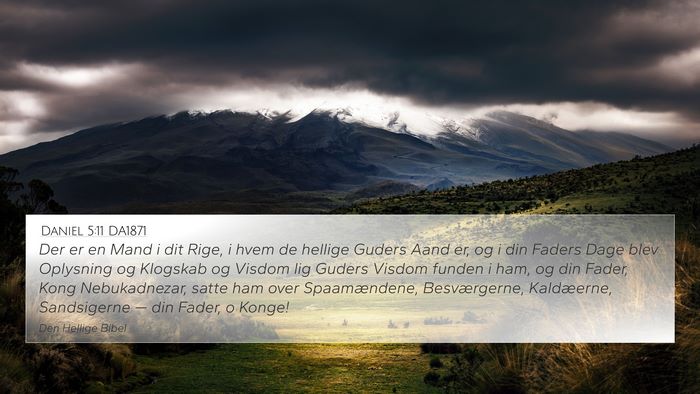 Daniel 5:11 DA1871 Bible Verse Image