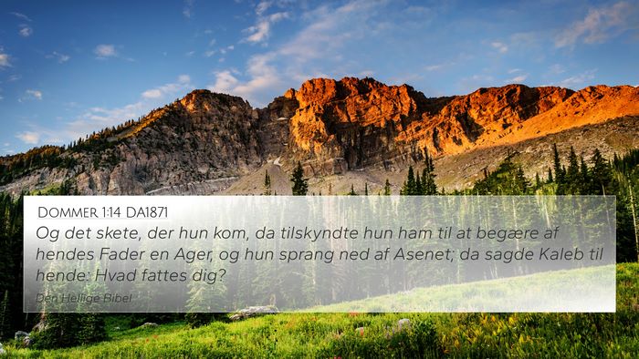 Dommer 1:14 DA1871 Bible Verse Image