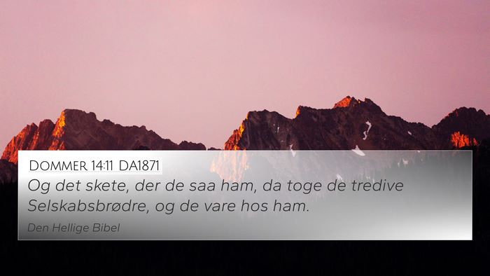 Dommer 14:11 DA1871 Bible Verse Image