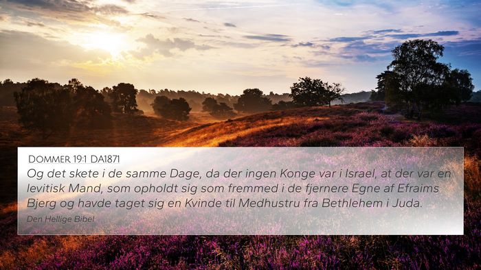 Dommer 19:1 DA1871 Bible Verse Image