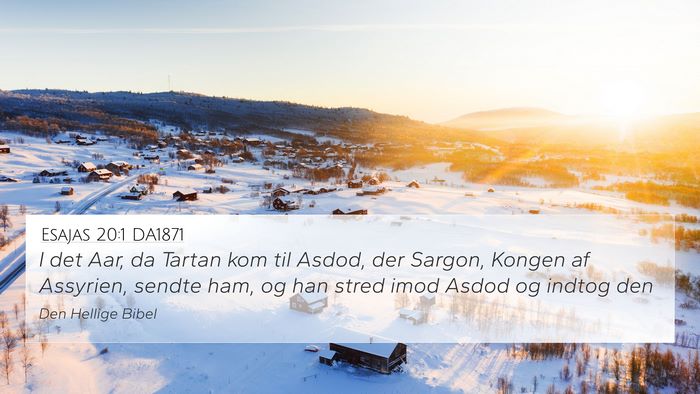 Esajas 20:1 DA1871 Bible Verse Image