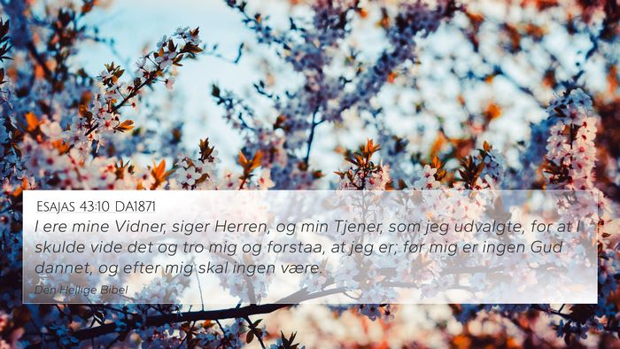 Esajas 43:10 DA1871 Bible Verse Image