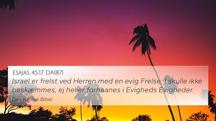 Esajas 45:17 DA1871 Bible Verse Image