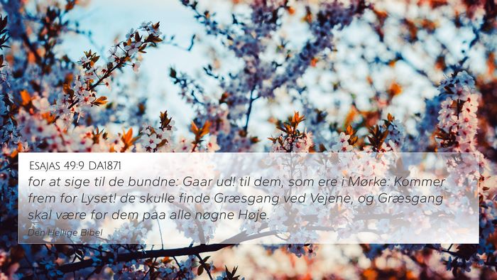Esajas 49:9 DA1871 Bible Verse Image