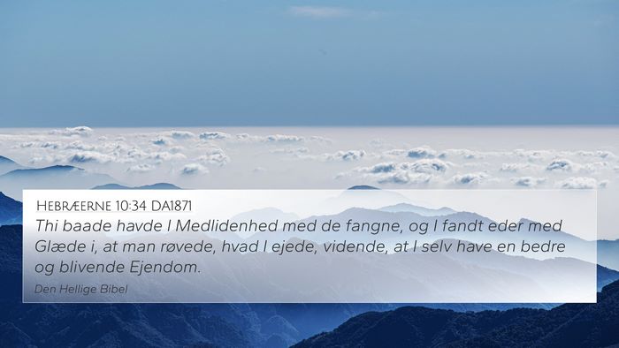 Hebræerne 10:34 DA1871 Bible Verse Image