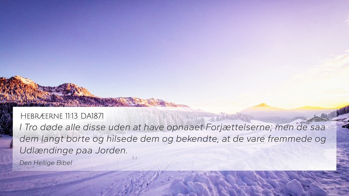 Hebræerne 11:13 DA1871 Bible Verse Image