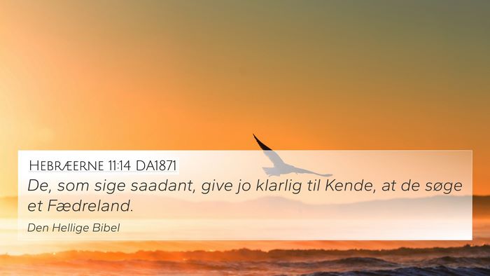 Hebræerne 11:14 DA1871 Bible Verse Image