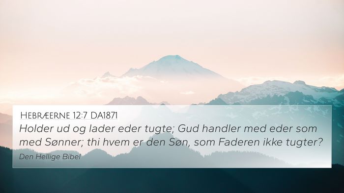 Hebræerne 12:7 DA1871 Bible Verse Image