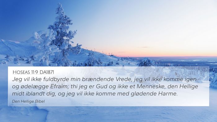 Hoseas 11:9 DA1871 4K Wallpaper - Jeg vil ikke fuldbyrde min brændende Vrede, jeg - 4K Wallpaper Bible Verse