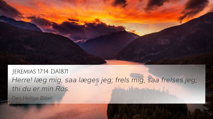 Jeremias 17:14 DA1871 Bible Verse Image