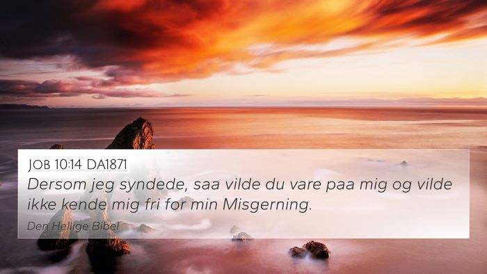 Job 10:14 DA1871 Bible Verse Image