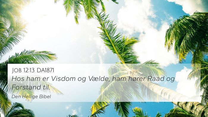 Job 12:13 DA1871 Bible Verse Image