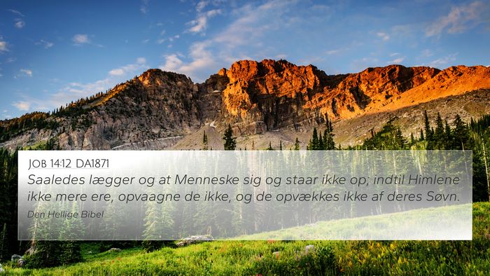 Job 14:12 DA1871 Bible Verse Image