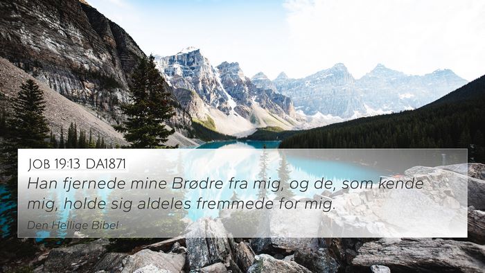 Job 19:13 DA1871 Bible Verse Image