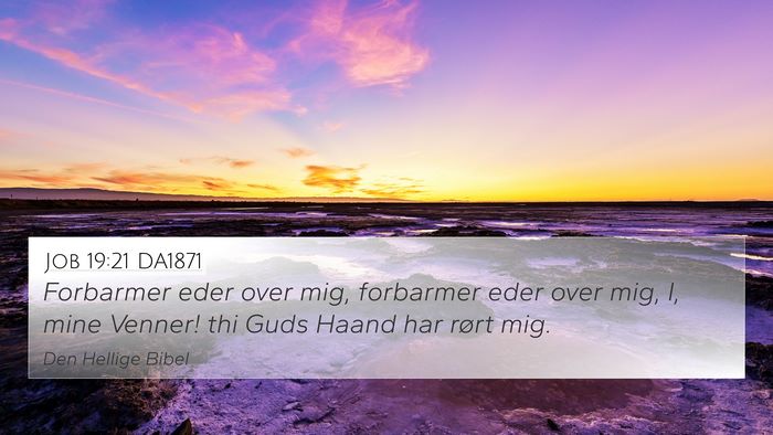 Job 19:21 DA1871 Bible Verse Image