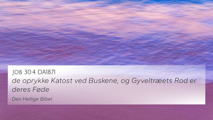 Job 30:4 DA1871 4K Wallpaper - de oprykke Katost ved Buskene, og Gyveltræets - 4K Wallpaper Bible Verse
