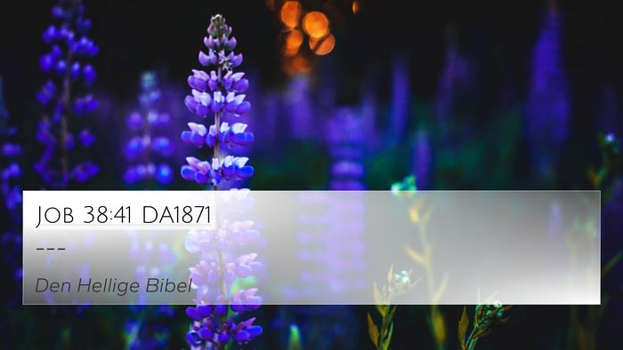 Job 38:41 DA1871 Bible Verse Image