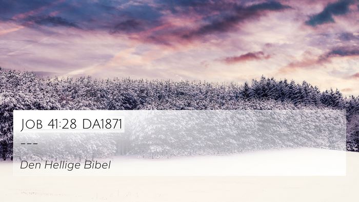 Job 41:28 DA1871 Bible Verse Image