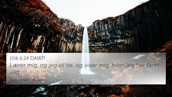 Job 6:24 DA1871 Bible Verse Image