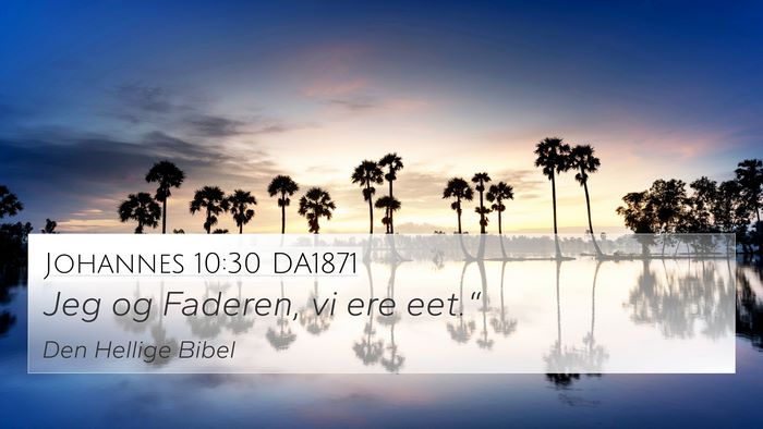 Johannes 10:30 DA1871 Bible Verse Image