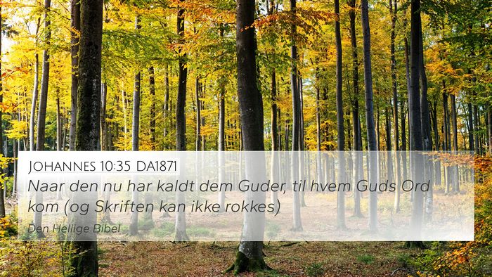 Johannes 10:35 DA1871 Bible Verse Image