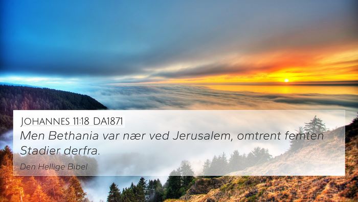 Johannes 11:18 DA1871 Bible Verse Image