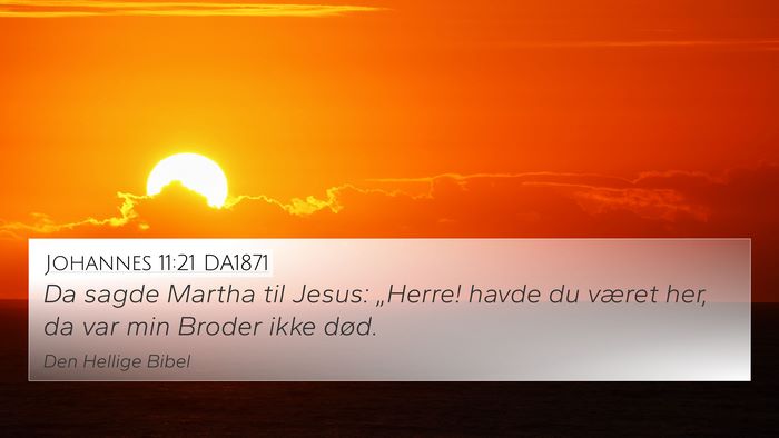 Johannes 11:21 DA1871 Bible Verse Image