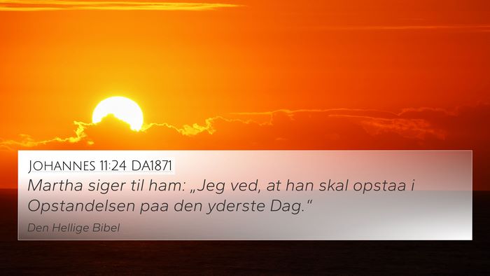 Johannes 11:24 DA1871 Bible Verse Image