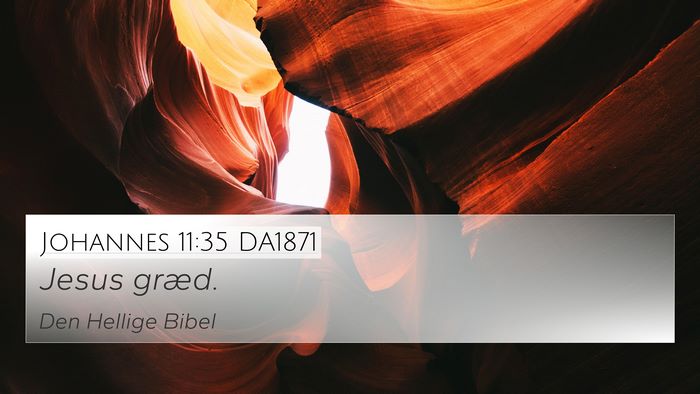 Johannes 11:35 DA1871 Bible Verse Image