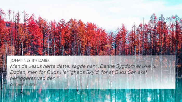 Johannes 11:4 DA1871 Bible Verse Image