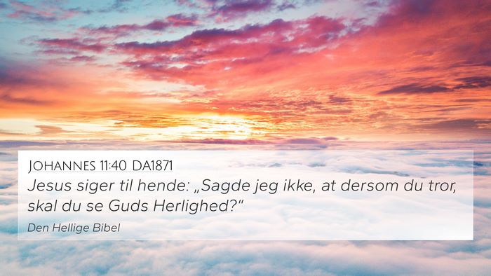 Johannes 11:40 DA1871 Bible Verse Image