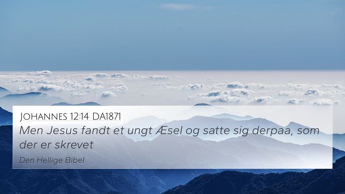 Johannes 12:14 DA1871 Bible Verse Image