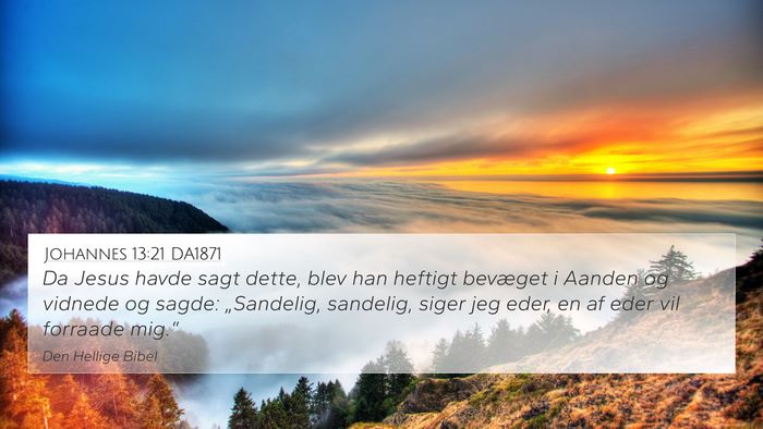 Johannes 13:21 DA1871 Bible Verse Image