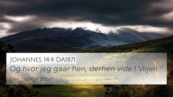 Johannes 14:4 DA1871 Bible Verse Image