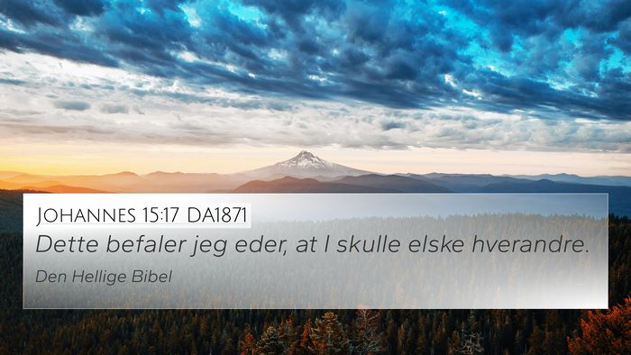 Johannes 15:17 DA1871 Bible Verse Image