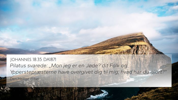 Johannes 18:35 DA1871 Bible Verse Image