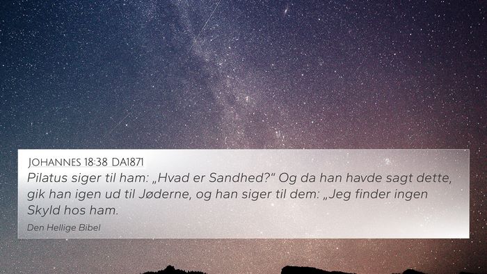 Johannes 18:38 DA1871 Bible Verse Image