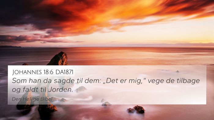 Johannes 18:6 DA1871 Bible Verse Image