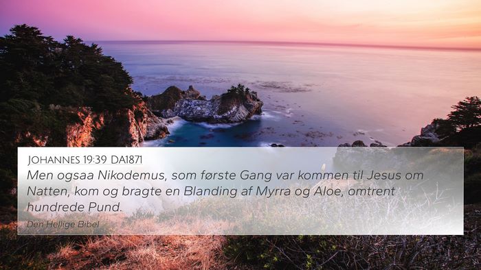 Johannes 19:39 DA1871 Bible Verse Image