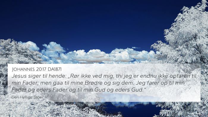 Johannes 20:17 DA1871 Bible Verse Image