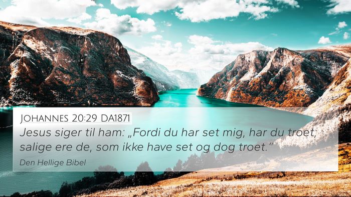 Johannes 20:29 DA1871 Bible Verse Image