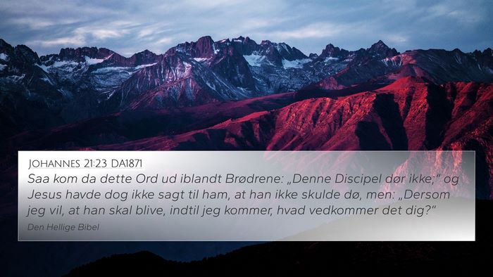 Johannes 21:23 DA1871 Bible Verse Image
