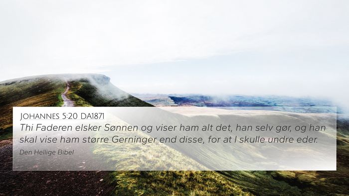 Johannes 5:20 DA1871 Bible Verse Image