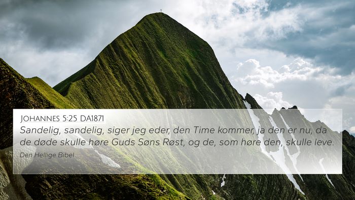 Johannes 5:25 DA1871 Bible Verse Image