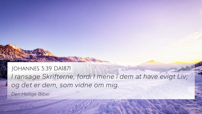 Johannes 5:39 DA1871 Bible Verse Image
