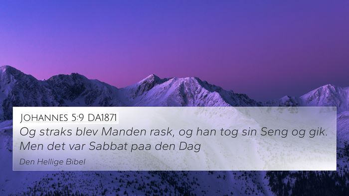 Johannes 5:9 DA1871 Bible Verse Image