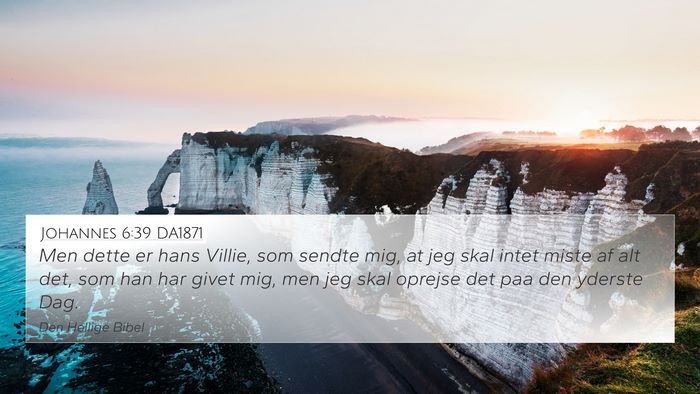 Johannes 6:39 DA1871 Bible Verse Image