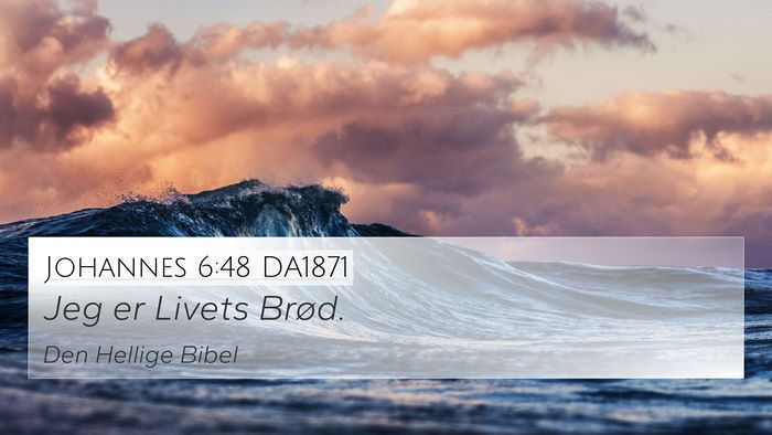 Johannes 6:48 DA1871 Bible Verse Image