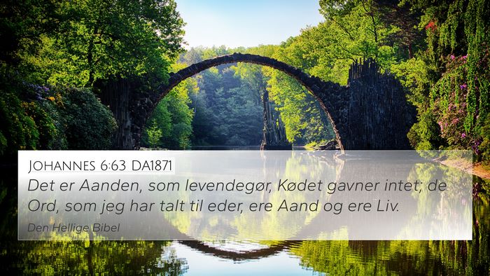 Johannes 6:63 DA1871 Bible Verse Image
