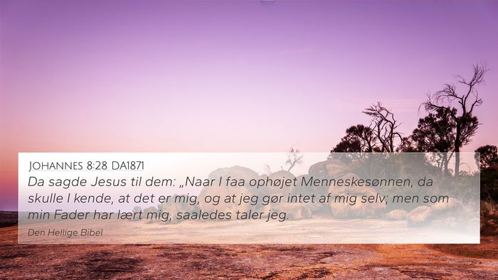 Johannes 8:28 DA1871 Bible Verse Image